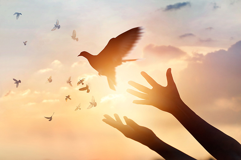 Brett Kavanaugh Supreme Court Nomination – Liberty and the Promise of Life